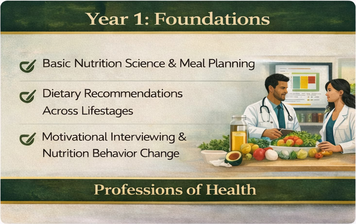 Year 1: Foundations