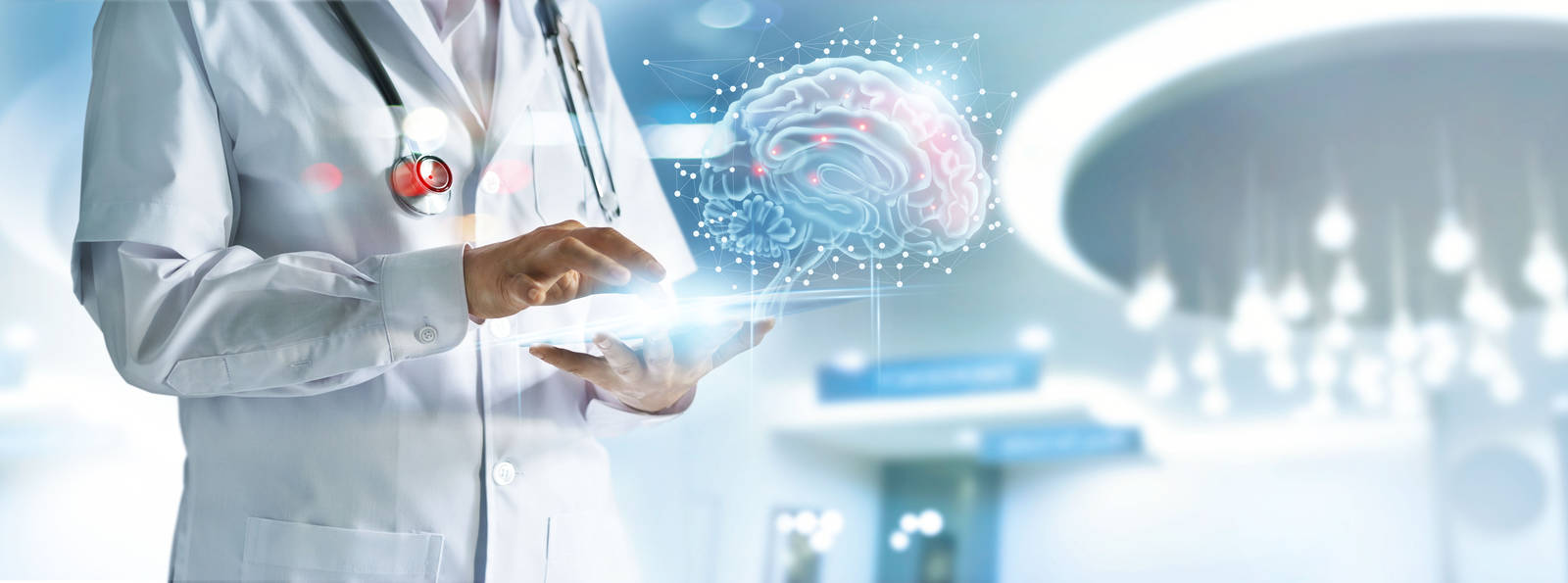 Digital Brain