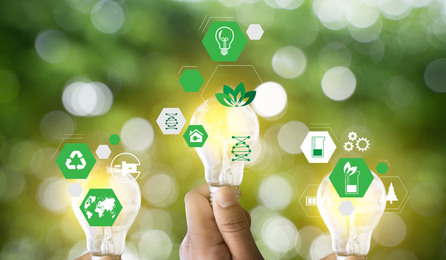 Sustainability
