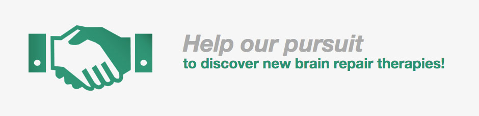 Help our pursuit to discover new brain repair therapies!