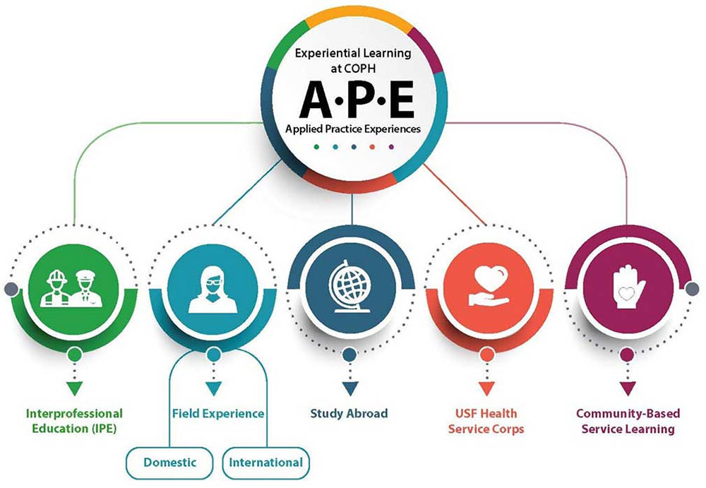 Diagram of Applied Practice Experience (APE) with five sections: School-Based Services, Small Group Instruction, Study Abroad, Off-Site Service Center, and Community-Based Service Learning.